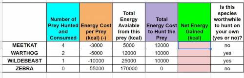 I don't understand what to put in the Net energy Gained (kcal) slots so pls help asap