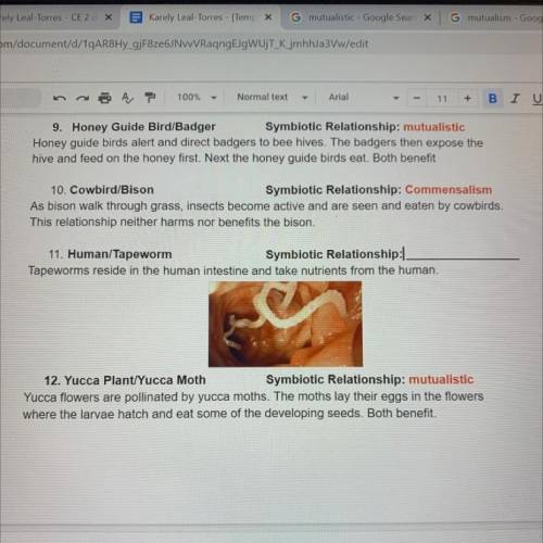 Number 11 
1. parasitism 
2. commensalism 
3. mutualistic