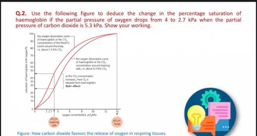 Please help me with this bio question