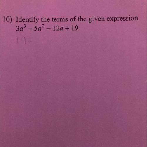 Identify the terms of the given expression