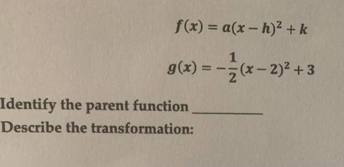 Identify the parent function and describe the transformation: