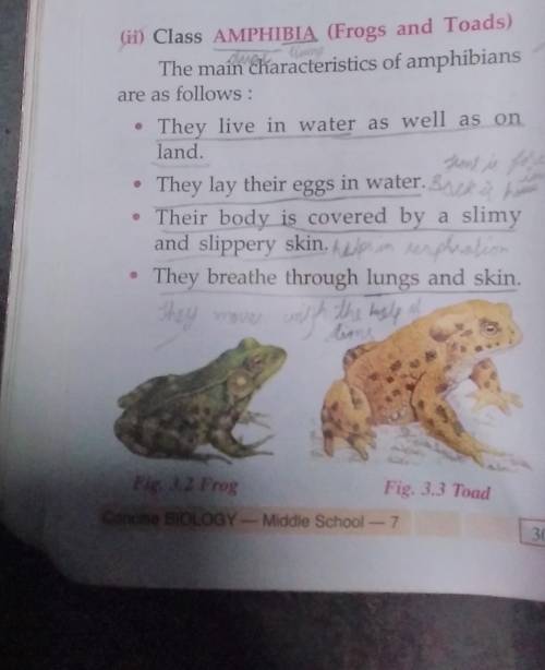 hi I want some pictures from science. class 1 PISCES.class 2 AMPHIBIA. class three REPTILIA .class 4