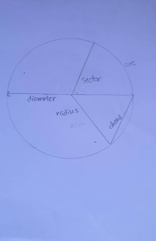 Draw a circle and then draw the following parts on the diagram.

DiameterRaduisChordSectorArc​