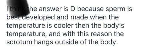 What is the purpose of the scrotum being outside the body?

a. because they are undescended
c. ther