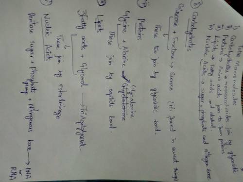 Make a chart of the most important atoms used to build macromolecules and which macromolecules conta