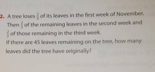 A tree loses 2/3 of its leaves in the first week of November. then 2/3 of the remaining leaves in t