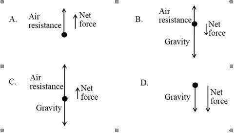 A group of students wants to study the forces acting on a falling object. One of the students drops