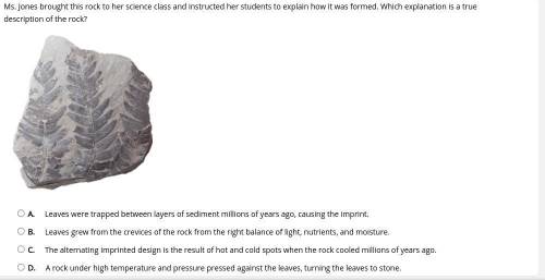 Please help me with my environmental science