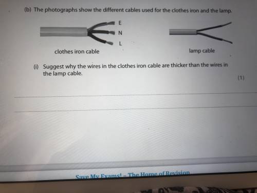 The photographs show the different cable is used for the clothes iron and the lamp suggest why the