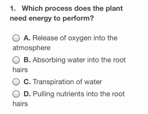 Which process does the plant need energy to perform?