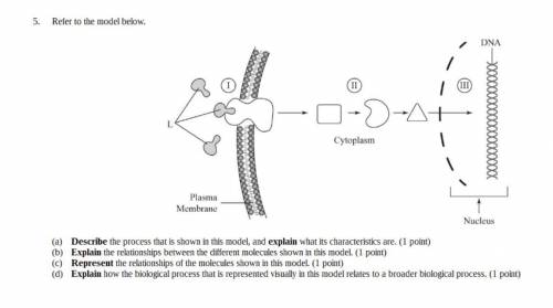 Help on this ap biology question pls