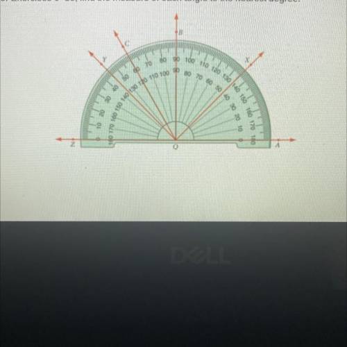 Find the measure of each angle to the nearest degree.