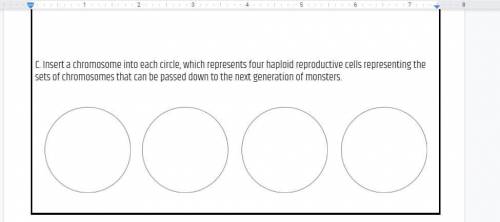 Insert a chromosome into each circle, which represents four haploid reproductive cells representing