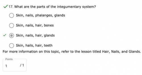 What are the parts of the integumentary system?
basic version. pls pst