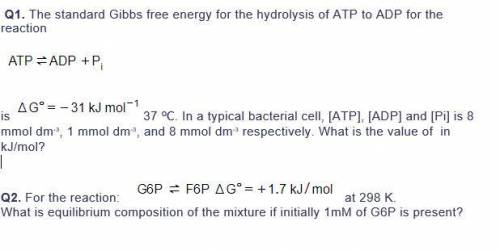 Need help with these questions please