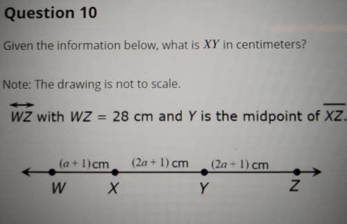 Given the information below, what is XY in centimeters? Note: The drawing is not to scale. WZ with