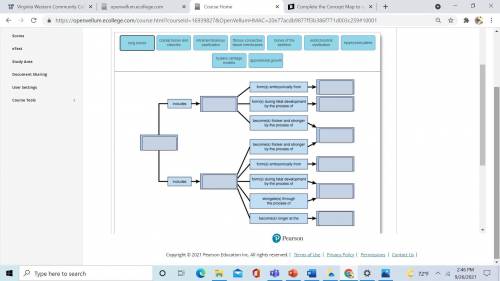 I need help solving this concept map