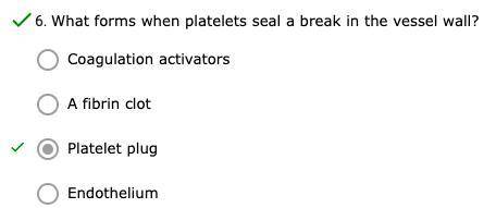 What forms when platelets seal a break in the vessel wall?