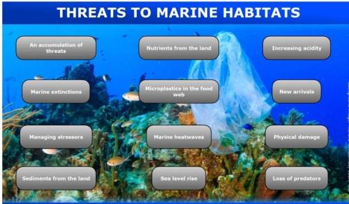 Human Effects on Ocean Ecosystems

In this activity, you will prepare a 1,000- to 1,250-word resear