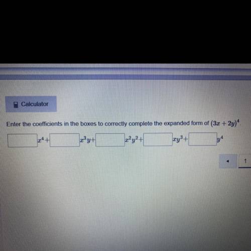 Which equations are correct?