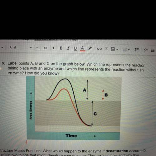 Label points A,B and C on the graph below. Which line represents the reactions taking place with an