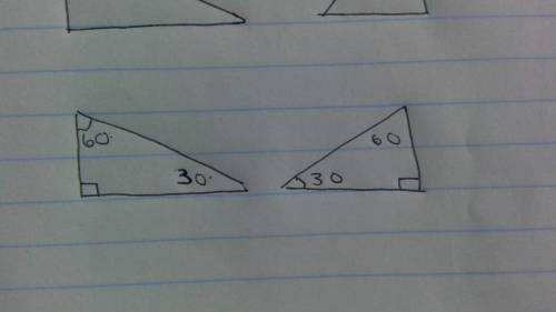 True or falsethe triangles show below must be congruent