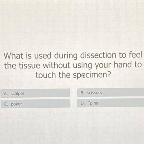 What is used during dissection what is used to feel

the tissue without using your hand to
touch t