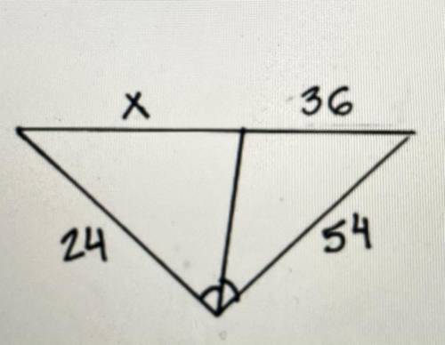 What is the value of x?
Thank you!