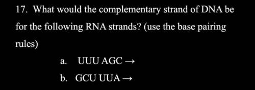 Please help and explain how u got ur answer. this makes no sense to me