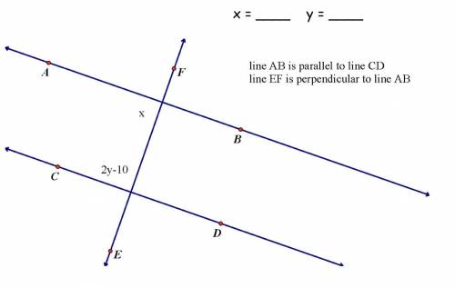 Can someone solve this for me please?