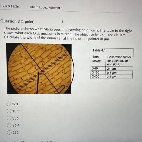 The picture shows what Maria sees in observing onion cells. The table to the right

shows what eac