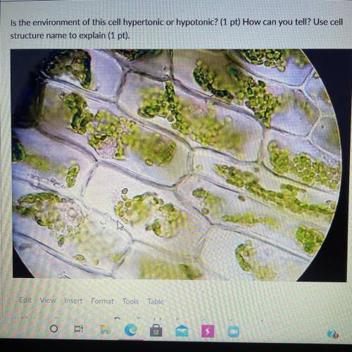 Is the environment of this cell hypertonic or hypotonic? (1 pt) How can you tell? Use cell

struct