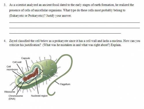 I need help please, the subject is about eukaryotic and prokaryotic cells