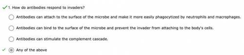 How do antibodies respond to invaders?