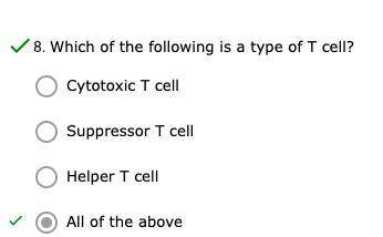 Which of the following is a type of T cell?

A. Cytotoxic T cell
B. Suppressor T cell
C. Helper T