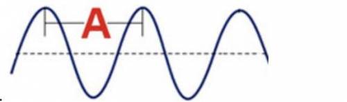 What part of he wave is labeled with an A.

1) Amplitude2) Wavelength3) Crest4) Trough(Never mind