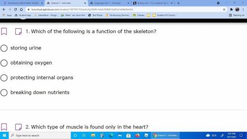 . 
Which of the following is a function of the skeleton?