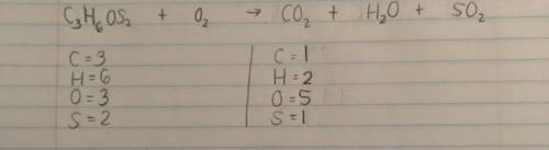 Pls pls pls pls I don’t know what I’m doing wrong in this question I really need someone to tell me