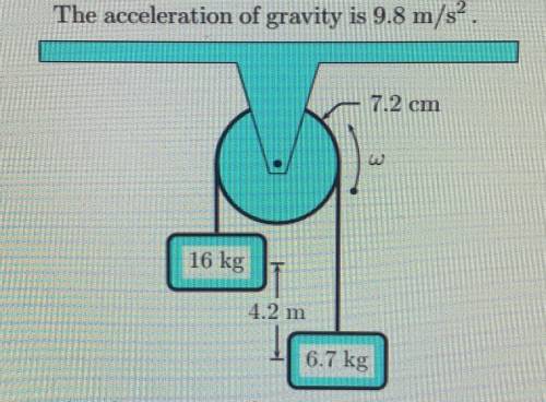 A light, inextensible cord passes over a light,

frictionless pulley
with a radius of 7.2 cm
It ha