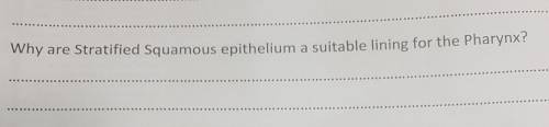 How to do this question plz answer me