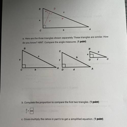 Need help on these questions