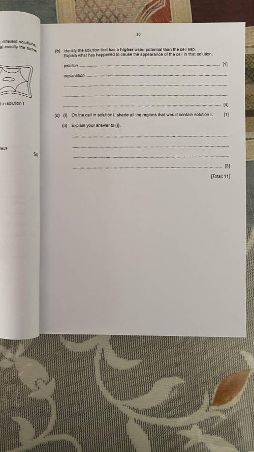 Please help with these questions