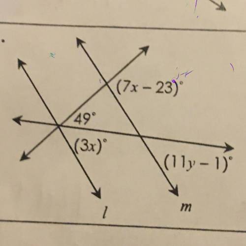 If / || m. solve for x and y.