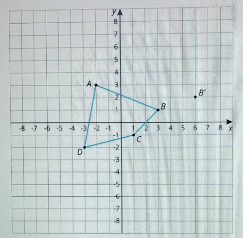 Find the location of A'find the location of C'find the location of D'