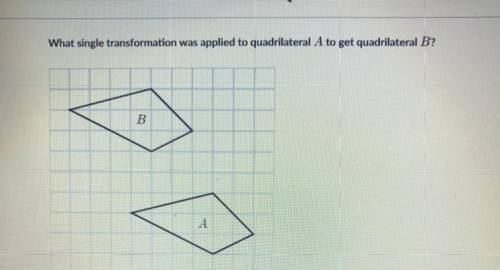 A-Translation 
B-Rotation 
C-Reflection
D-Dilation