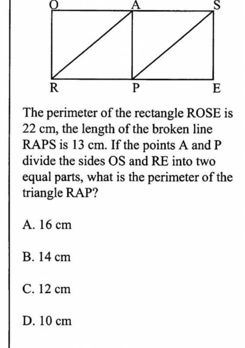 PLS HELP ME WITH THIS QUESTION I WILL MARK THE BEST ANSWER BRAINLIEST, THX!