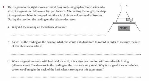 50 POINTS! pls answer