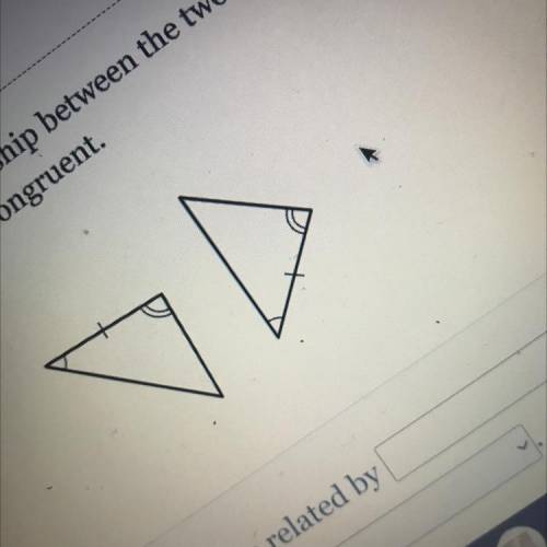 Determine the relationship between the two triangles and whether or not they can be proven to be co