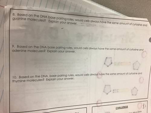 Help please with this assignment