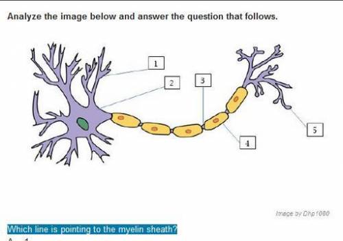 Answers to Neuron quiz Psychology

Neurons communicate with each other through synaptic transmissi
